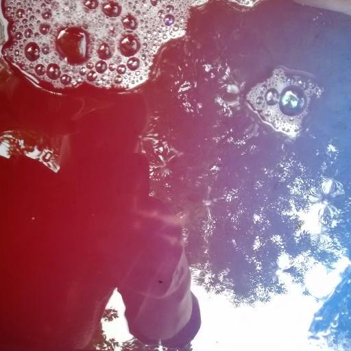 terrajeanlong's profile picture. 