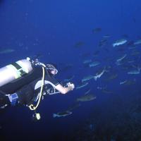 Gary Murphy (@gn_murphy) 's Twitter Profile Photo