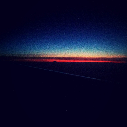 megankeeleyfish's profile picture. 