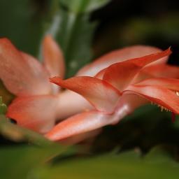 valker87's profile picture. 