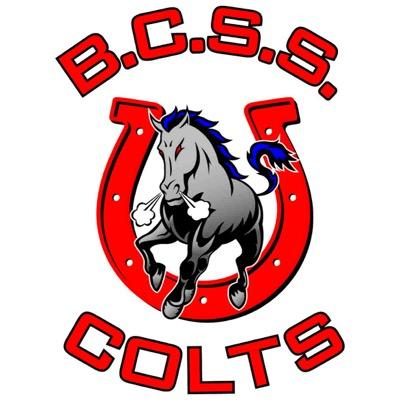 bcss_yearbook's profile picture. Youtube: BCSS Yearbook  Instagram: @bcss_yearbook DM or tag us in any photos you want in the yearbook!