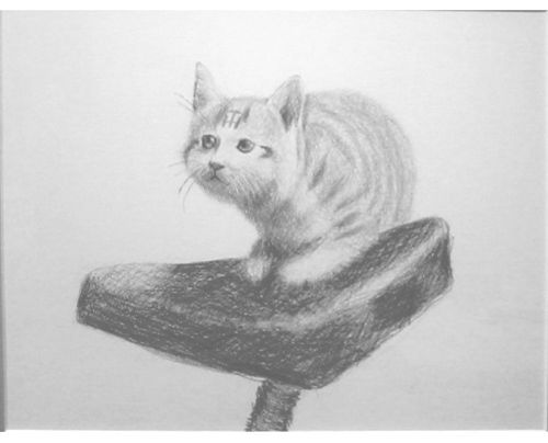 大学の美術部の延長で、油絵他を趣味にしてます。たまにグループ展をやります。アイコンは前に出品した鉛筆画です。