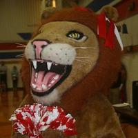 ThompsonIntermediate (@wearethompson) 's Twitter Profile