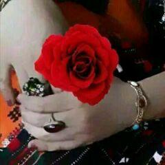 jemal12233's profile picture. 