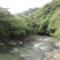 Luquillo CZO (@luqczo) 's Twitter Profile