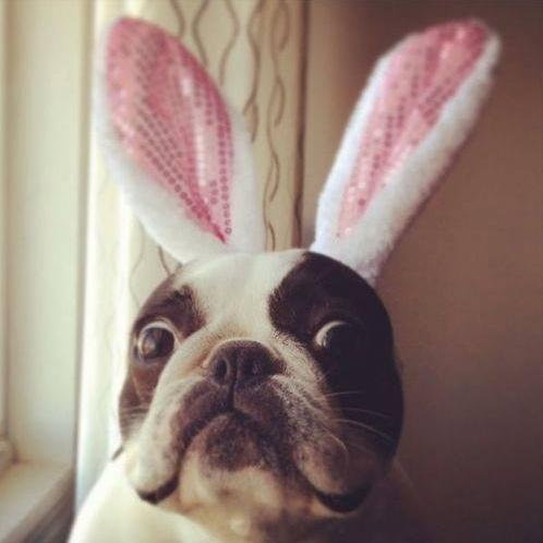 amineluq's profile picture. 