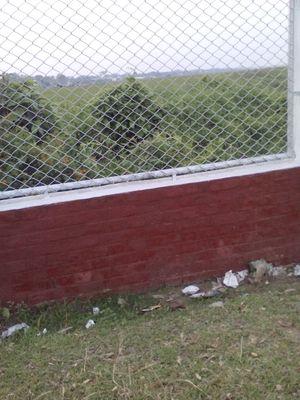 sfbabu1993's profile picture. 