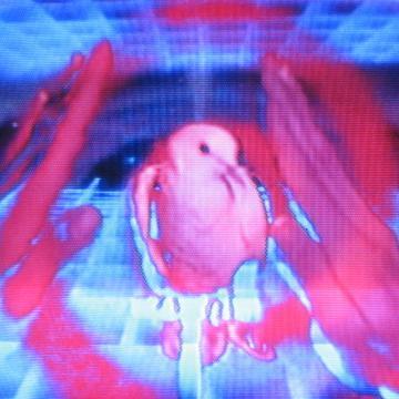 naokitakubo's profile picture. gallery “Pulp” @PulpPictures director
gallery & shop "POL" @pol_2020 director
VJ