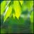lifeleranch's profile image