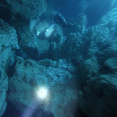 Jleesabamafan's profile picture. 