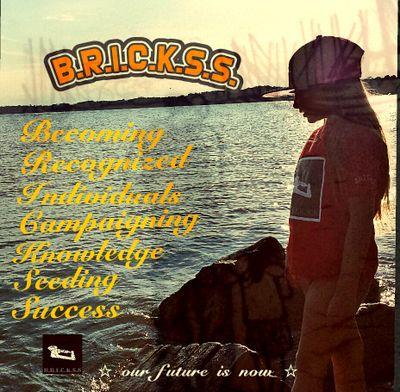 B.R.I.C.K.S.S
(Becoming Recognized Individuals Campaigning Knowledge Seeding Success) charitable clothing line helping youth brighten their future. fb and ig