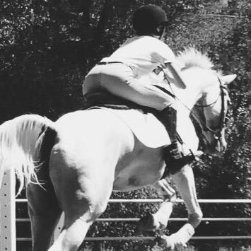 Overcommer♘||Zone 10||Arrihs Farms||Horse Enthusiast||Equine Photograhy|Equine YouTuber