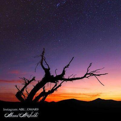 Fighterpilot11's profile picture. 