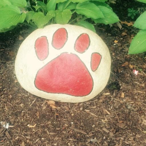 PVPumaPride's profile picture. 