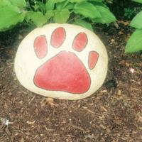Prairie Vista Pumas (@pvpumapride) 's Twitter Profile Photo Prairie Vista Pumas (@pvpumapride) 's Twitter Profile Photo