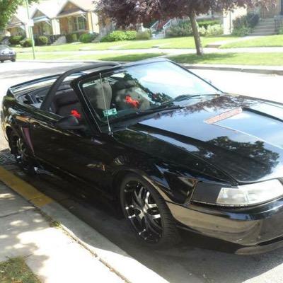 shirys3's profile picture. 