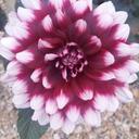 Olga Saenz - @olgasaenz6 - Twitter