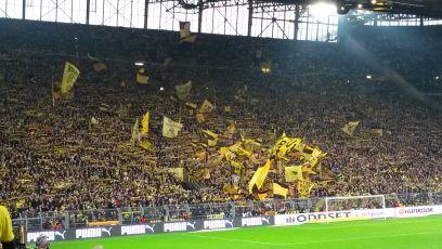 MarcoOverath's profile picture. 