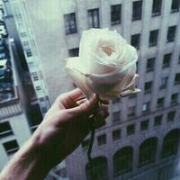 manar (@mana20r) 's Twitter Profile