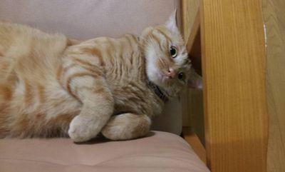 waffle_g's profile picture. 