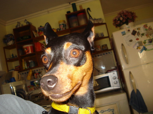 Goodsigns's profile picture. 