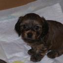 Cathy McCormick - @registerednut - Twitter