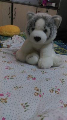 Priyank1489's profile picture. 