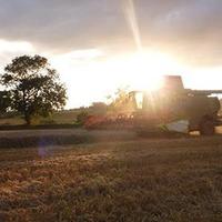 Ron Granger (@reglimagrain) 's Twitter Profile Photo Ron Granger (@reglimagrain) 's Twitter Profile Photo