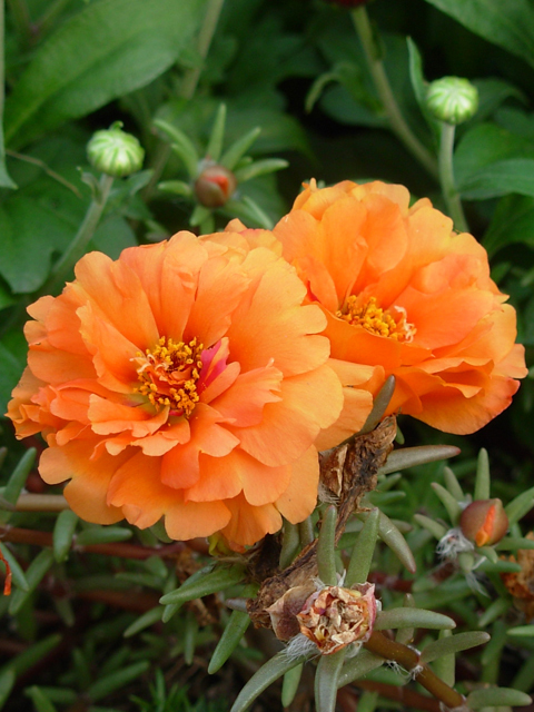 45bigfeet's profile picture. 