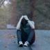 Darwin D sadeli (@sadeli85) Twitter profile photo Darwin D sadeli (@sadeli85) Twitter profile photo
