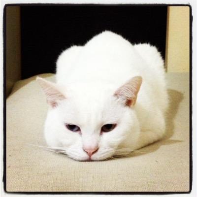 banananana2697's profile picture. 