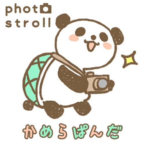 photostroll2015 Profile Picture