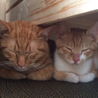 sinabro911's profile picture. KOREA