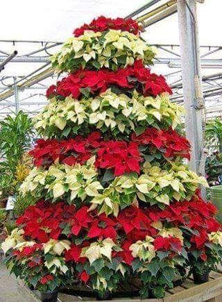 2c33edb68c924f0's profile picture. 