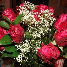 TLCFahey's profile picture. 