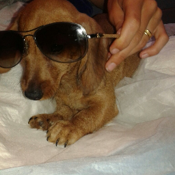 mont_mignon's profile picture. 