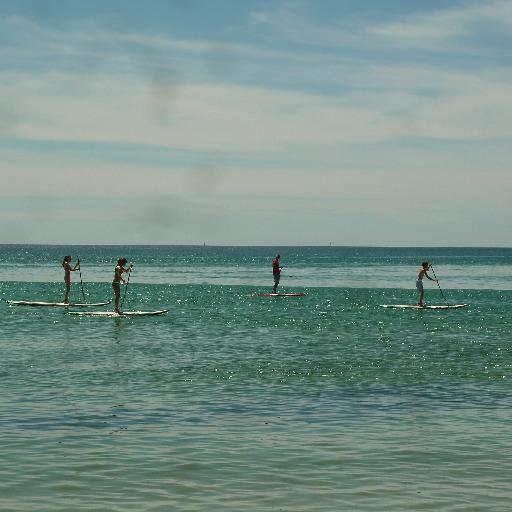 anapardog's profile picture. ⚡