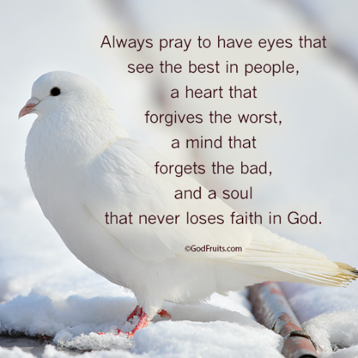 CMcDoulett's profile picture. 