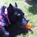 Jennifer McLaughlin - @devilscat27 - Twitter