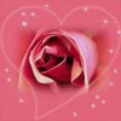 vochkanov833's profile picture. 