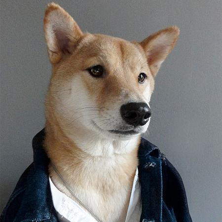 Freelance Writer & Social Media Connoisseur, Not a Shiba