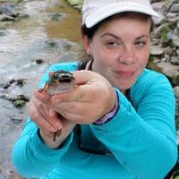 Allison Pease (@allison_a_pease) 's Twitter Profile