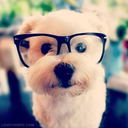 Melissa Devries - @MeliDevries - Twitter