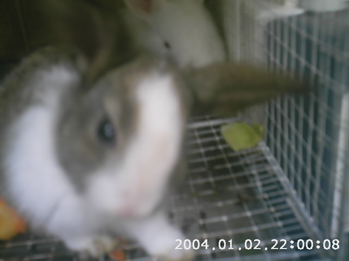 gogles8's profile picture. 