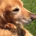 Cathy Husmann (@cathyhusmann) Twitter profile photo Cathy Husmann (@cathyhusmann) Twitter profile photo