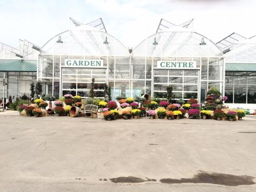 Locally owned Family Greenhouse
Located in Red Deer,Alberta
Email:rebecca@dentooms.com