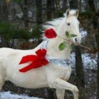 badrkaram (@badrkaram44) Twitter profile photo