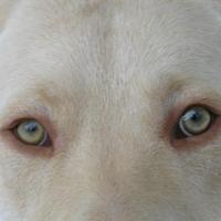 Shannon Ford(@shannonfordUSA) 's Twitter Profile Photo Shannon Ford(@shannonfordUSA) 's Twitter Profile Photo