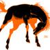 Bronc Nation (@bronc_nation) Twitter profile photo Bronc Nation (@bronc_nation) Twitter profile photo