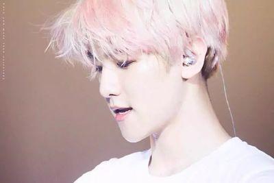 luhan is my inspiration, baek is my light, taehyung is my laughter and jhope is my guide × selu × chanbaek × vmin